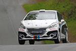 Peugeot 208 R2 Rally Car 2012 года